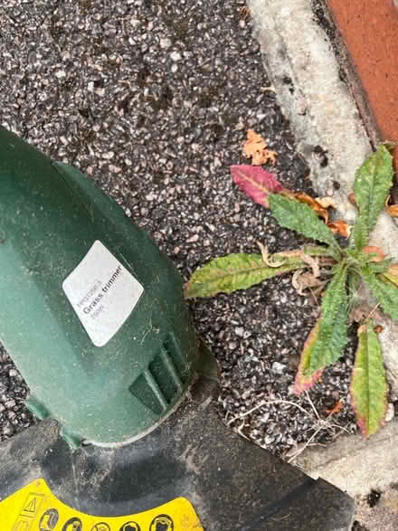 Photo of free Grass trimmer (Solihull B90) #1