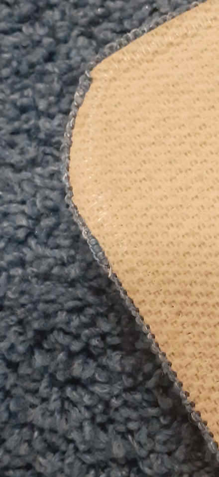 Photo of free Blue Grey "shaggy" style rug (Prince of Wales Steps TQ1) #2