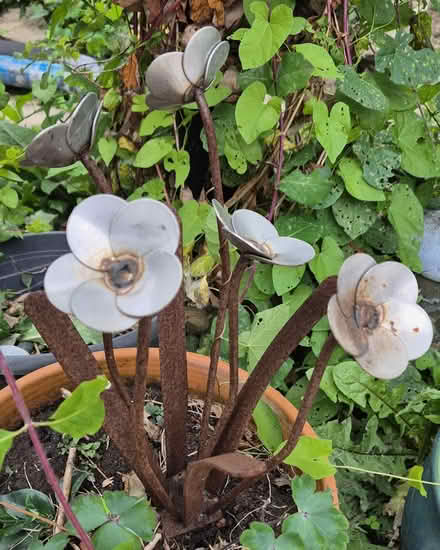 Photo of free Garden ornament (DE55 - Swanwick) #1