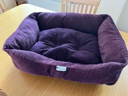Photo of free Corduroy dog bed (Wingerworth S42) #1