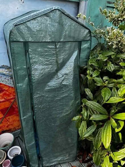 Photo of free Greenhouse (Headington OX3) #1