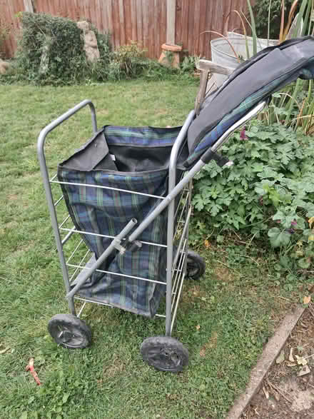 Photo of free Shopping Trolley (CT1) #3