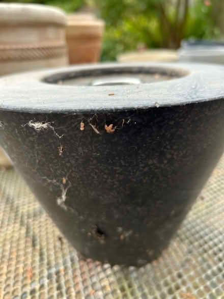 Photo of free Terrazzo Gel Burner (Barkham RG41) #3