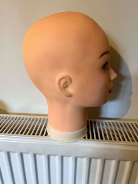 Photo of free Wig head (St Margarets TW1) #2