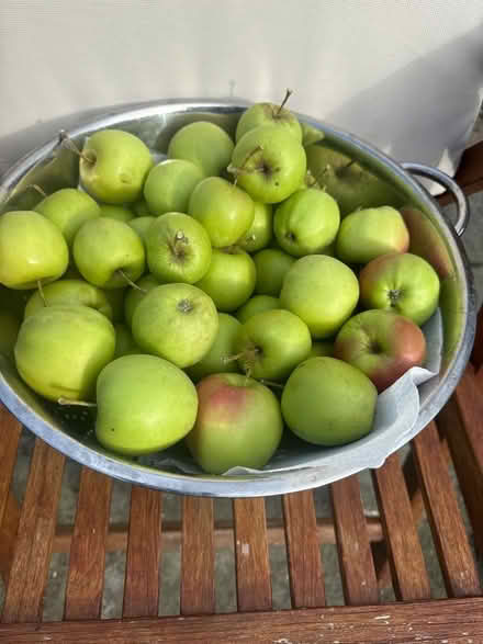 Photo of free Apples (Norbury CR7) #1