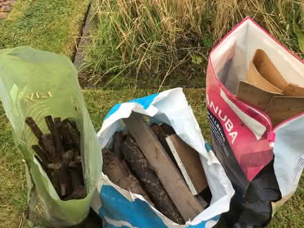 Photo of free Wood (Selston NG16) #1