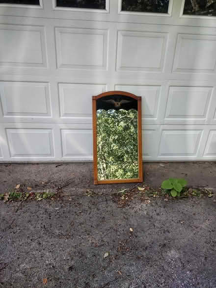 Photo of free Wall Mirror (Springfield 19064) #1