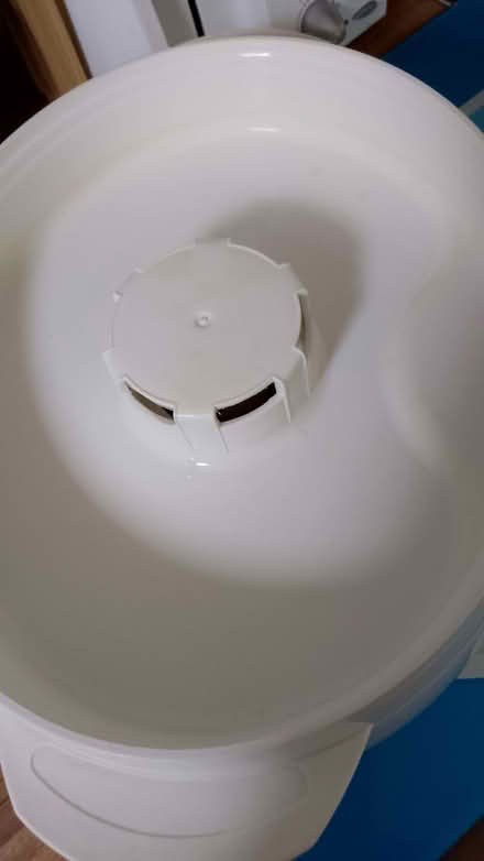 Photo of free Electric food steamer (Longley S5) #4