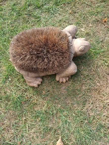 Photo of free Tortoise shoe scrapper (Felden HP3) #1