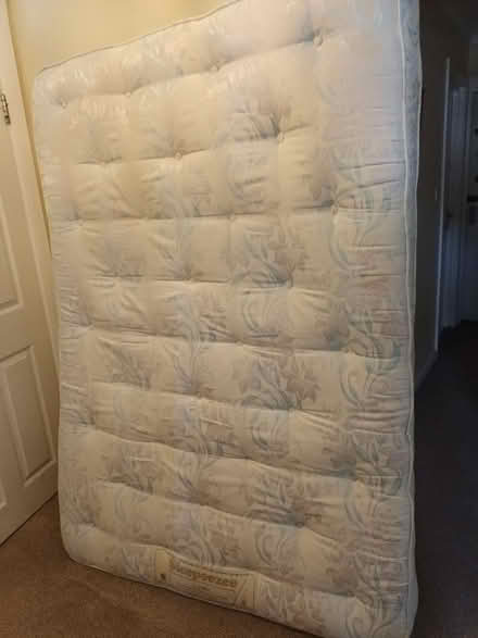 Photo of free Double bed and headboard (BR3, Park Langley) #1