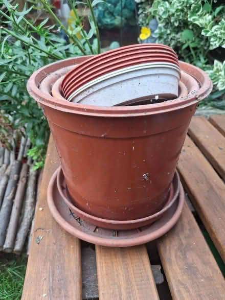 Photo of free Plant pots and trays (Crookes S10) #1