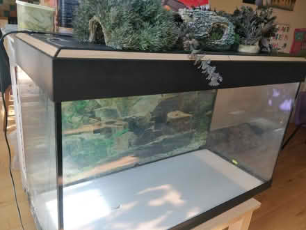 Photo of free fish tank (orpington) #2
