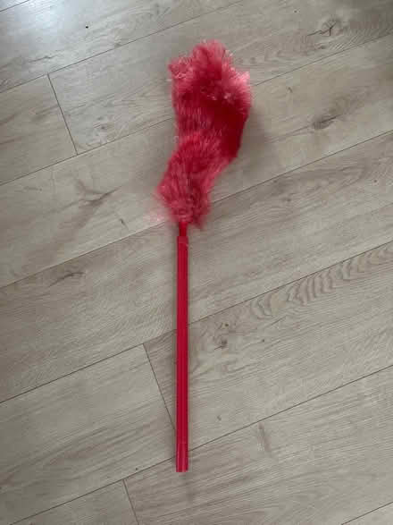 Photo of free Dusting / cobweb brush (Ware SG12) #1