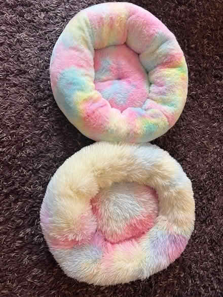 Photo of free 2x small cat beds (Codicote) #1