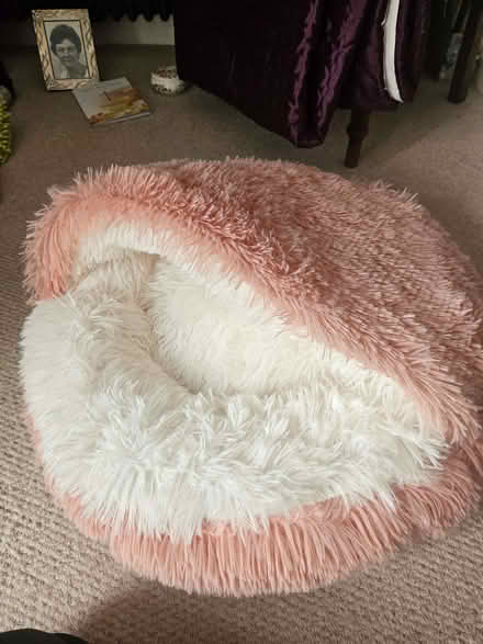 Photo of free Dog bed, not used (Kenilworth CV8) #2