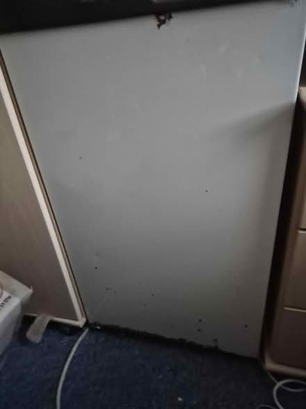 Photo of free Freezer (Stoke Newington N16) #1