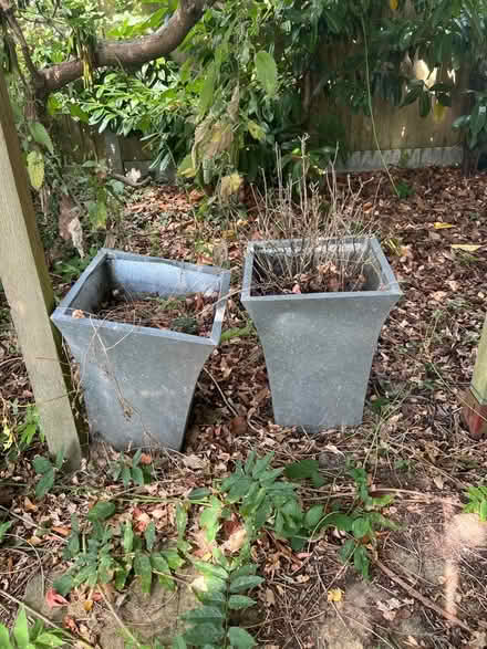 Photo of free Garden pots (Bidborough TN4) #1