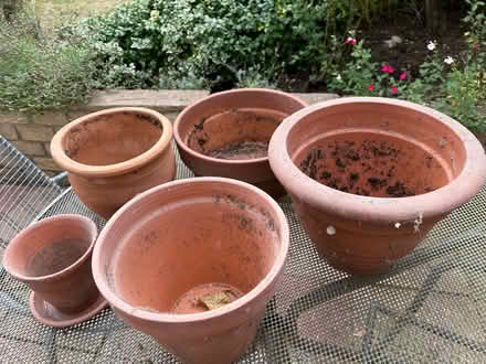 Photo of free Assorted terracotta plant pots (Barkham RG41) #1