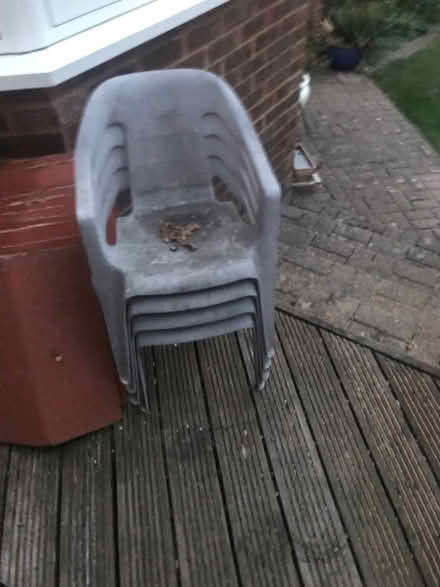 Photo of free Childrens Garden Chais (Lloyd Park CR2) #1