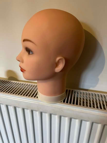 Photo of free Wig head (St Margarets TW1) #3
