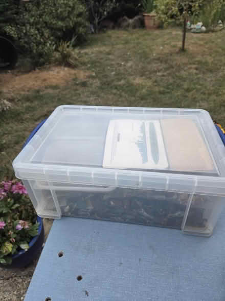 Photo of free Box full of various model soldiers (Bexhill-On-Sea) #1