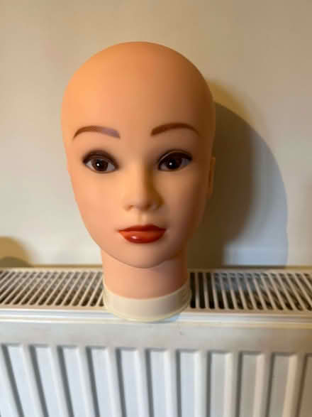 Photo of free Wig head (St Margarets TW1) #1