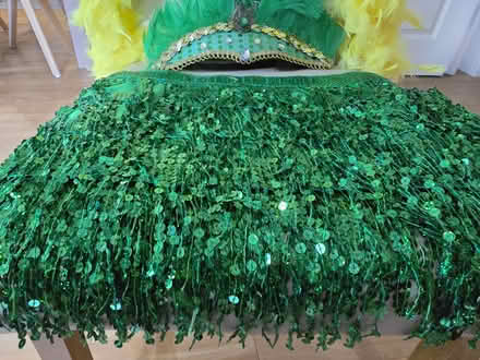 Photo of free Carnival accessories (BH2) #4