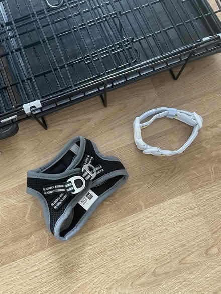 Photo of free Crate, collar & harness for puppy (N4) #3
