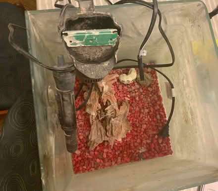 Photo of free Glass Fish Tank (Upper West Side.) #2