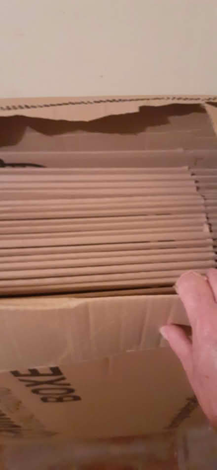 Photo of free Unused 20 packing boxes (Prince of Wales Steps TQ1) #1