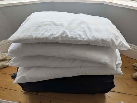 Photo of free 4 thin pillows (High Heaton) #1