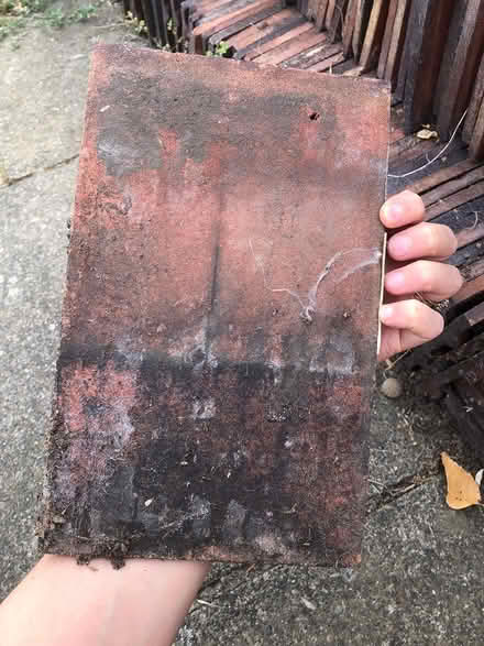 Photo of free Clay roof tiles (Eltham SE9) #2