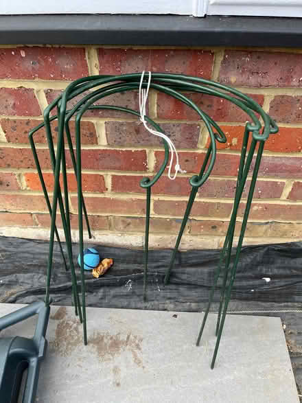 Photo of free 6 plant supports (Eastcote HA4) #1