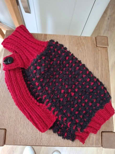 Photo of free Hand-knitted dog coat (Southborough TN4) #1