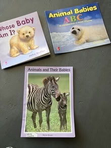 Photo of free Teacher Materials pre-K - 2 #1
