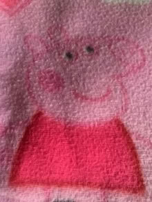 Photo of free Fleece Peppa Pig Kids Blanket (Gosforth NE3) #2