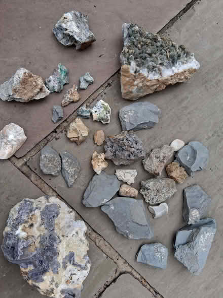 Photo of free Various geological rocks and Fossils (Foxholes SG13) #1