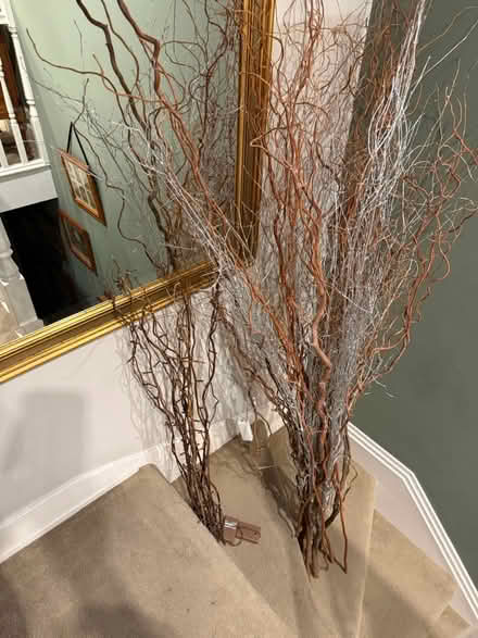 Photo of free decorative wooden twigs (Blackheath) #3