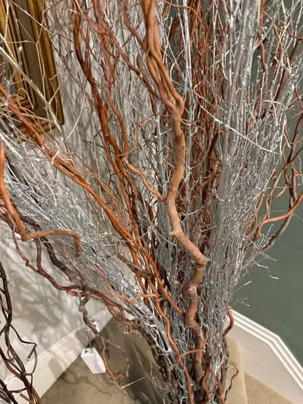 Photo of free decorative wooden twigs (Blackheath) #1