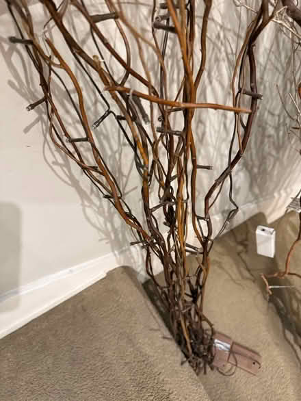 Photo of free decorative wooden twigs (Blackheath) #2