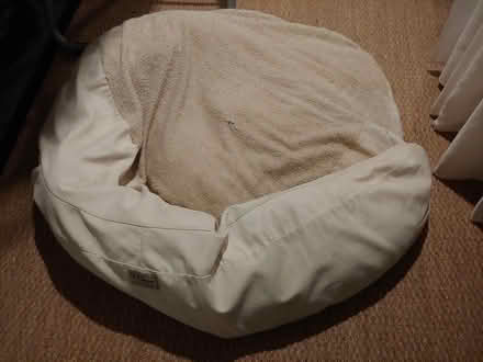 Photo of free Dog bed, large (Tenleytown) #2
