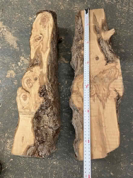 Photo of free Laburnum logs (GL5) #1