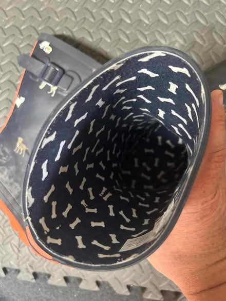 Photo of free Joules wellies (Feltham TW14) #4