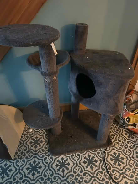 Photo of free Cat tree (B24) #3