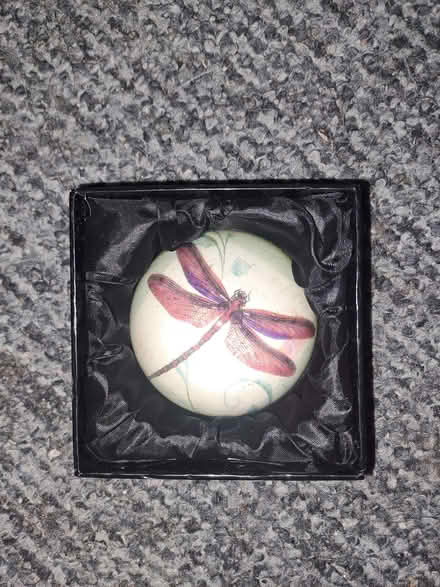 Photo of free Dragonfly Paperweight (Fishermead MK6) #1
