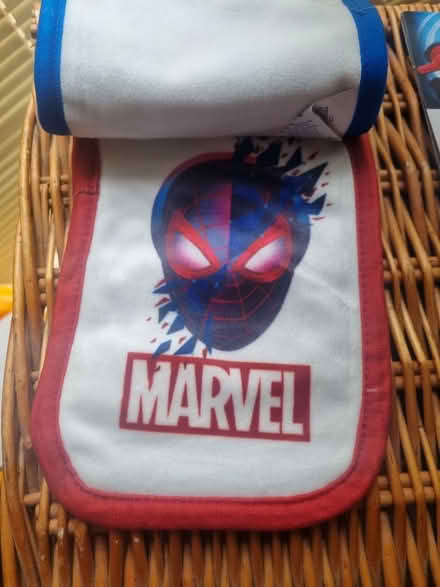 Photo of free Spiderman face cloths (Perivale) #3