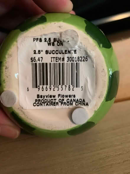 Photo of free Ceramic 1/2 Watermelon (South Brampton) #2