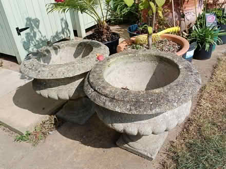 Photo of free Garden urns (Shoeburyness) #1