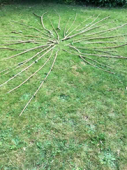 Photo of free Hazel sticks (Fairfield Park) #1