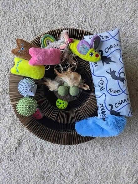 Photo of free Selection of cat toys (Hook RG27) #1